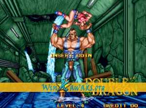 Double Dragon Screenshot Double Dragon Screenshot