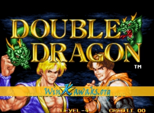 Double Dragon Double Dragon