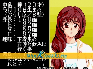Final Romance 2 (Neo CD conversion) Screenshot Final Romance 2 (Neo CD conversion) Screenshot